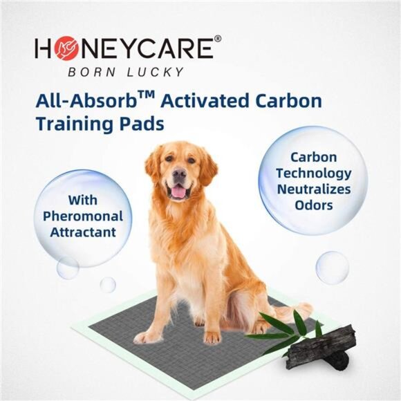All-Absorb Puppy Training Pads | Doggie Potty Pads Absorb Eliminating Urine Odor - Picture 3 of 7